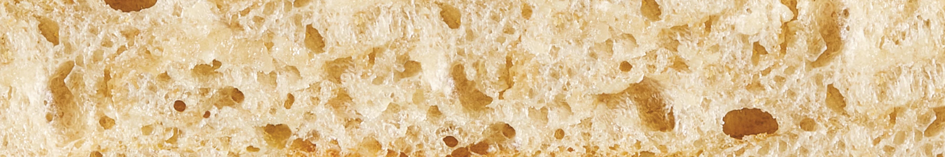 Sourdough crust cross-section showing airy crumb structure