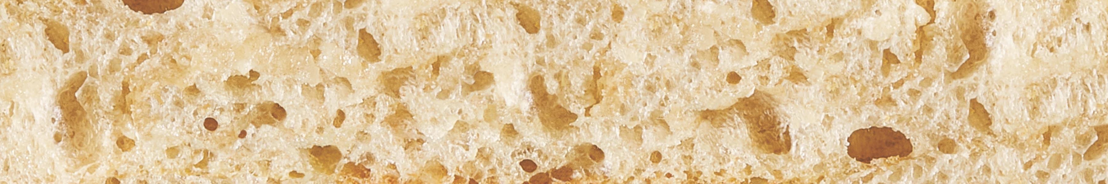 Sourdough crust cross-section showing airy crumb structure